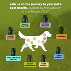 Rooted Owl Pet Supplements joint and muscle health supplement for medium and large dogs, with soft chew treats in a natural setting.