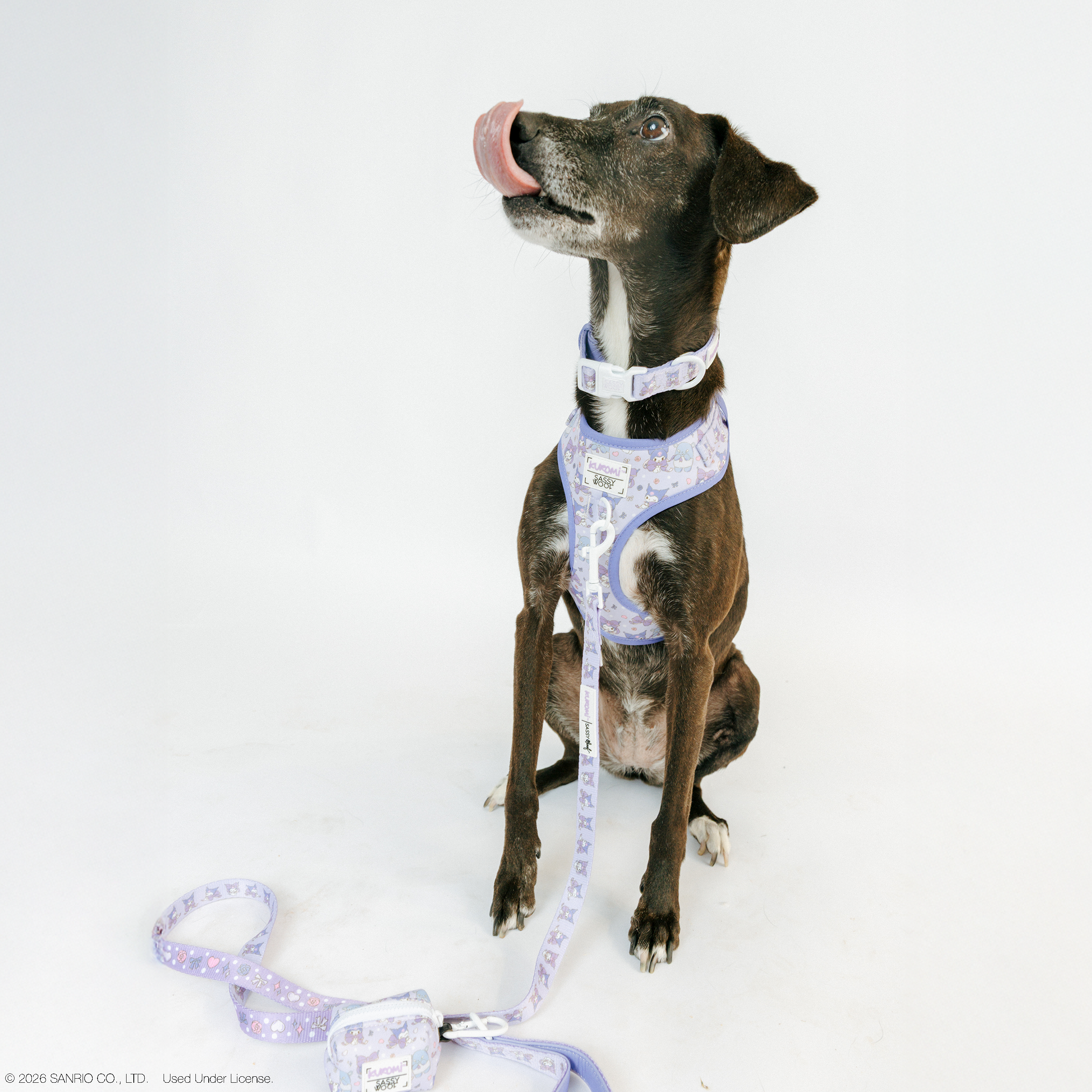 Sassy Woof Kuromi™ adjustable dog harness in size M, featuring a colorful design with a cute Dame the Rescue Pup pattern.