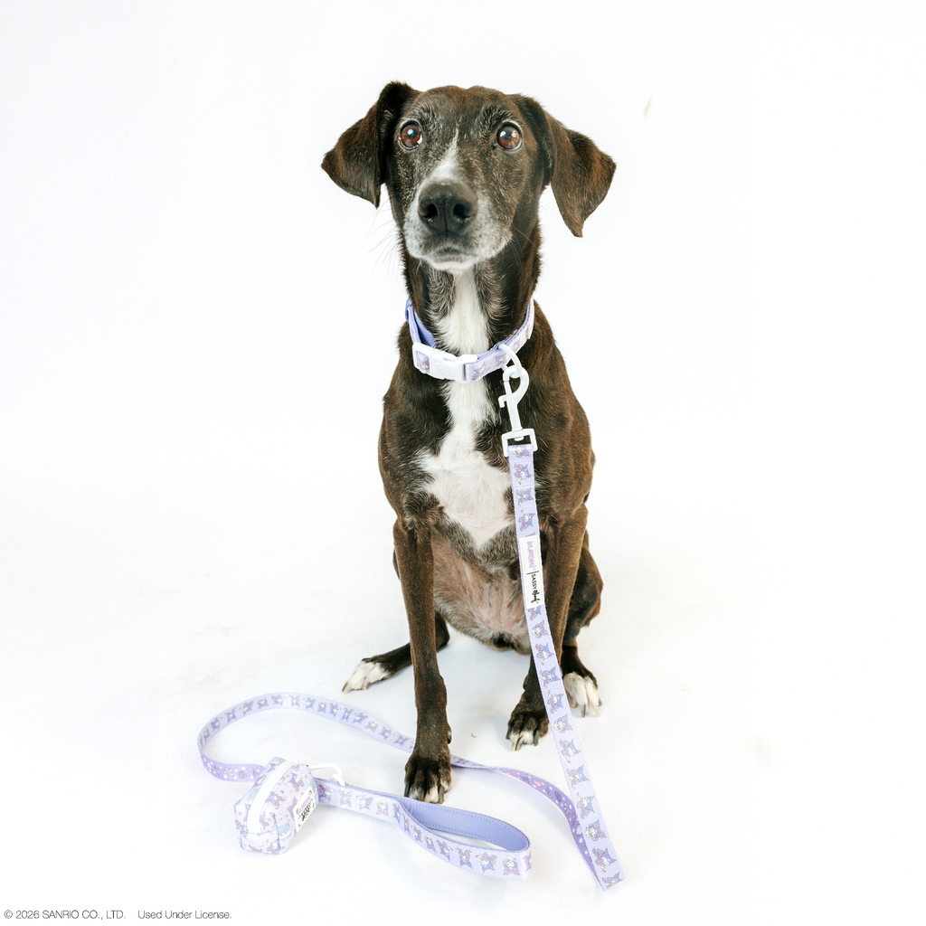 Dog leash from Sassy Woof featuring Kuromi design, size M, with a playful pattern suitable for pet walking and training.