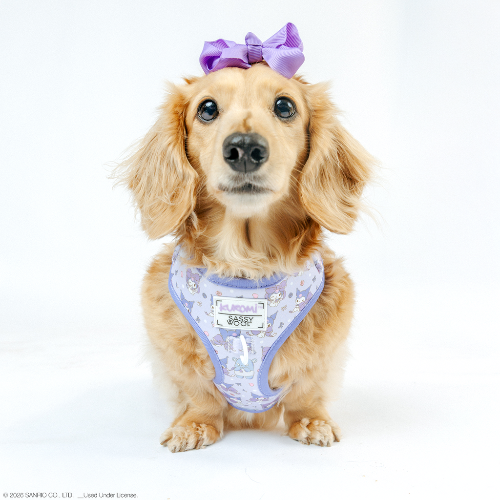 Sassy Woof Kuromi™ adjustable dog harness in size XS, featuring colorful design and secure fit for small pets.