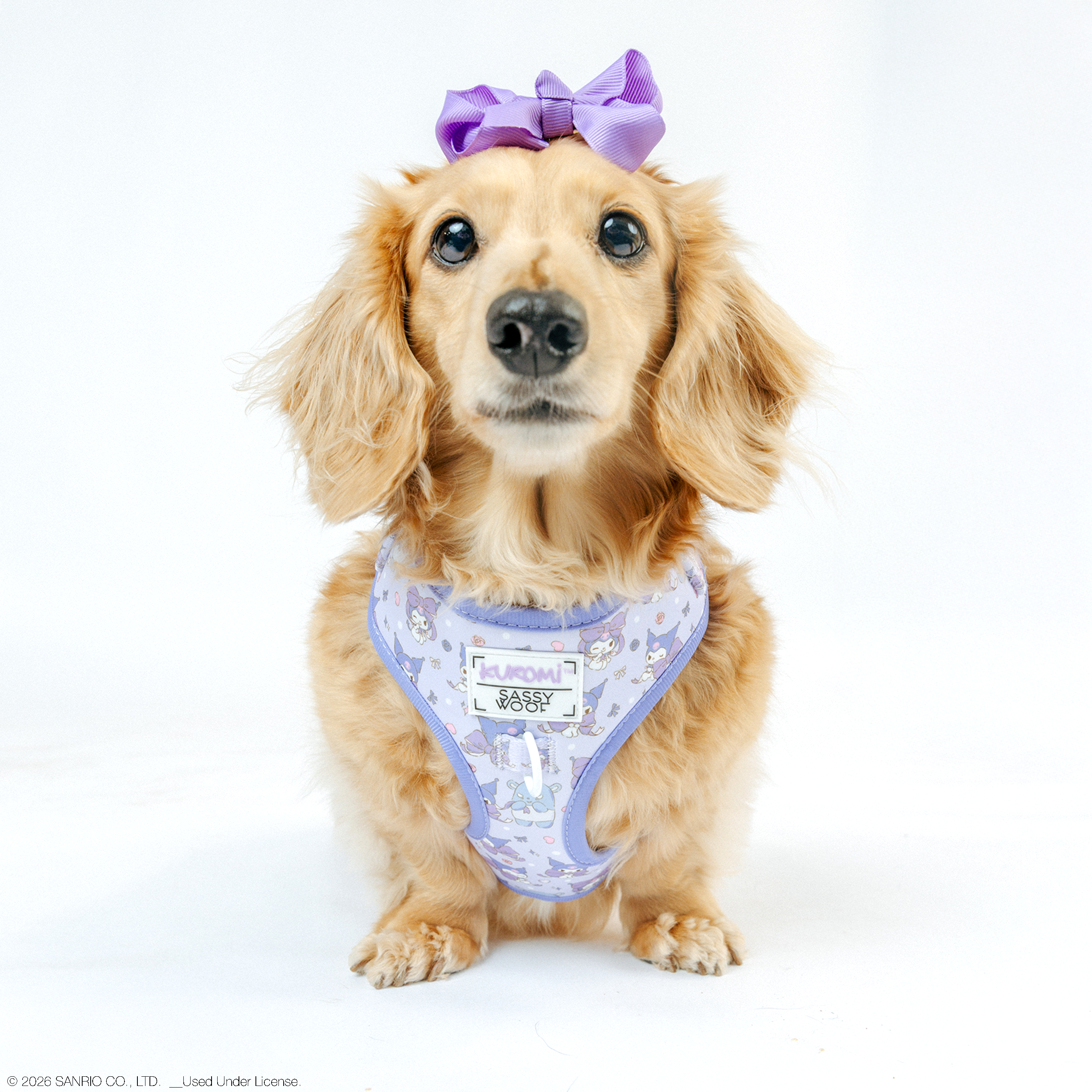 Sassy Woof Kuromi™ adjustable dog harness in size XS, featuring colorful design and secure fit for small pets.