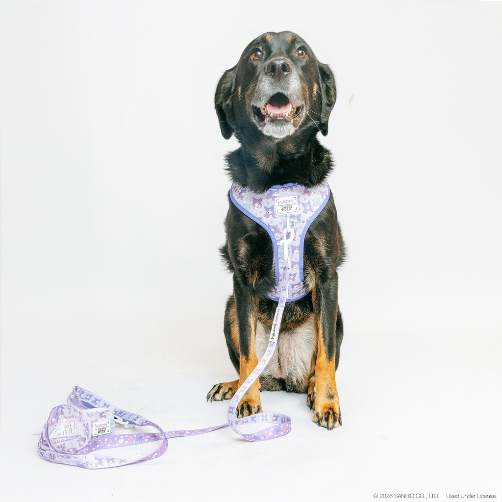 Dog leash from Sassy Woof featuring Kuromi design, suitable for large dogs like Aussiedors, with bright, sunny pattern.