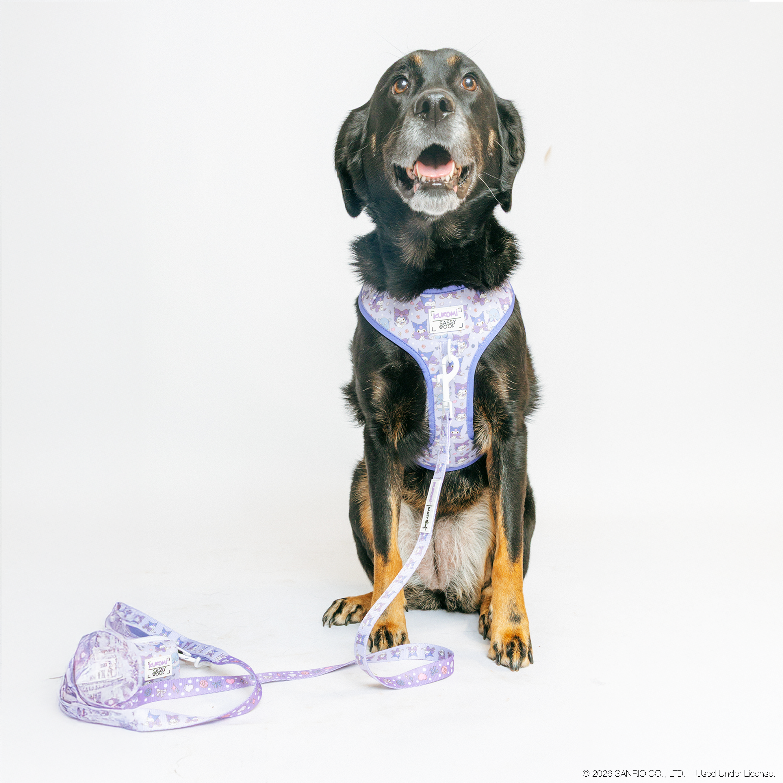 Dog leash from Sassy Woof featuring Kuromi design, suitable for large dogs like Aussiedors, with bright, sunny pattern.