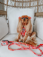 Red Hello Kitty dog adjustable harness by Sassy Woof, featuring a cute Hello Kitty® design on a comfortable pet collar harness.