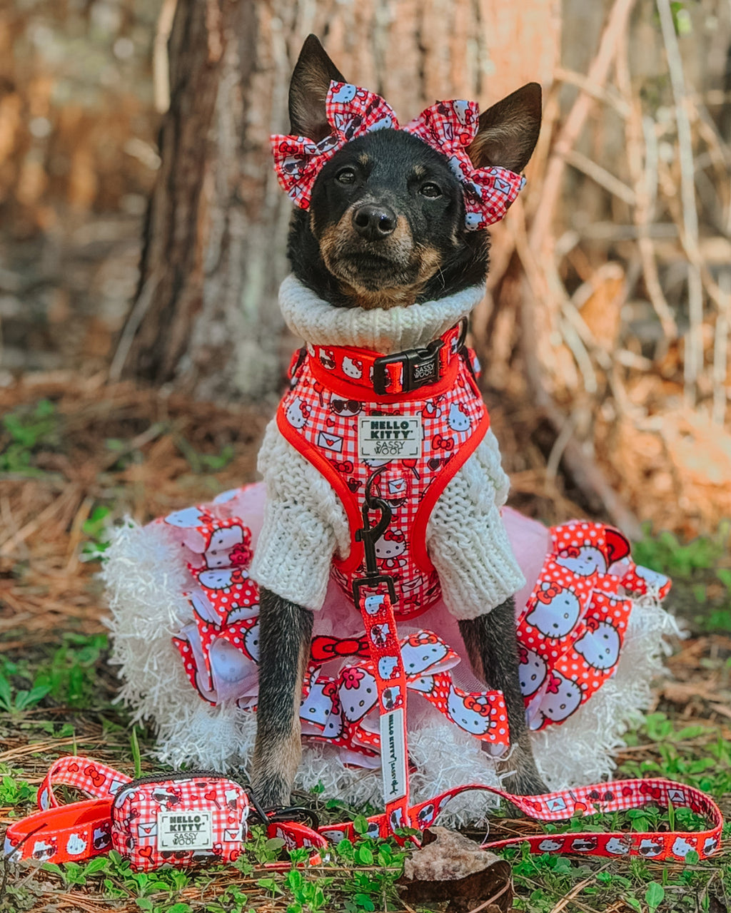 Red Hello Kitty cat bowtie from Sassy Woof, stylish dog apparel featuring a playful design, displayed on a pet collar.