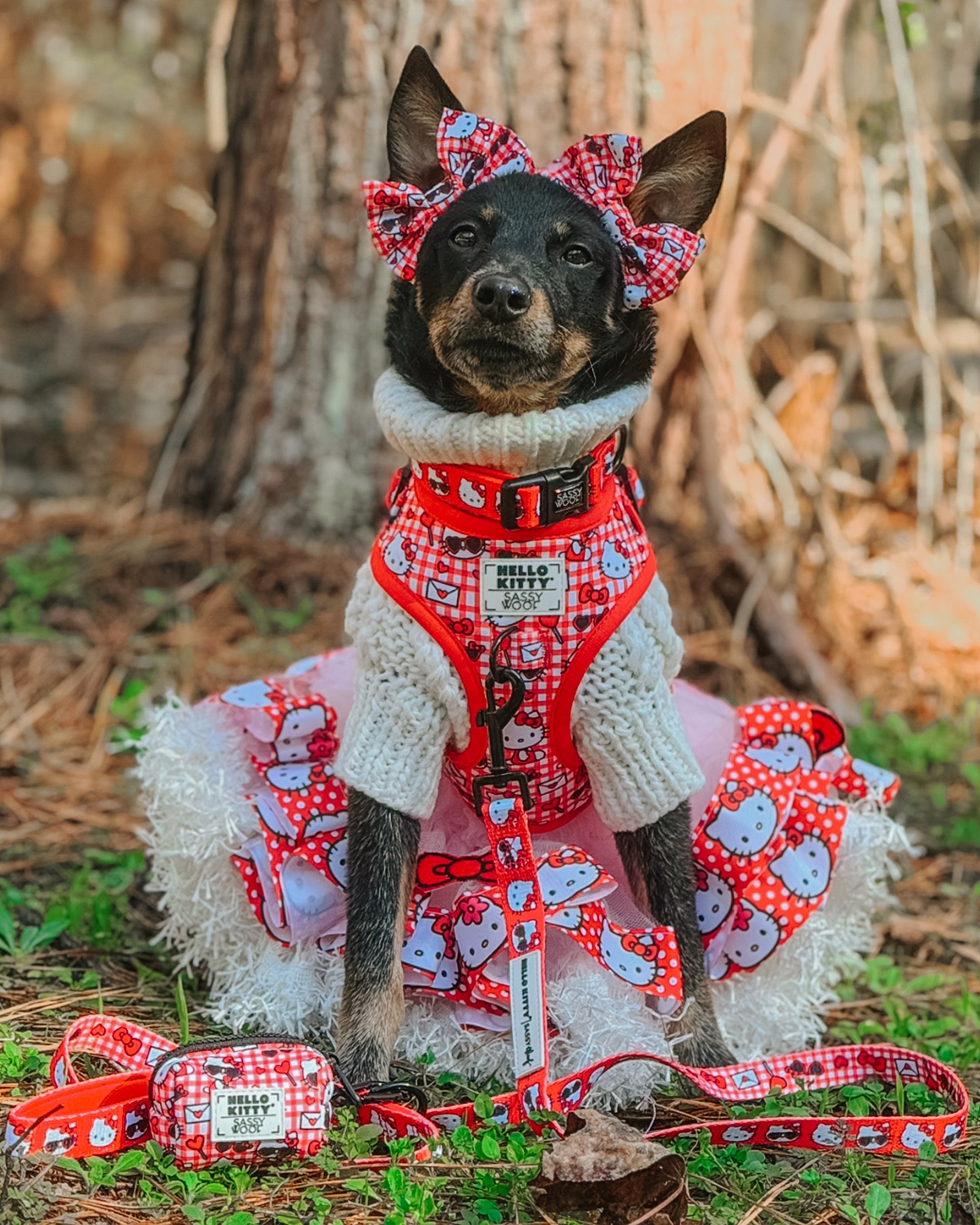 Red Hello Kitty® dog collar by Sassy Woof featuring a classic design with Hello Kitty® character and adjustable straps.