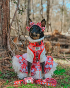 Red Hello Kitty dog waste bag holder by Sassy Woof, designed for pet waste dispenser and holder, featuring cute character design.