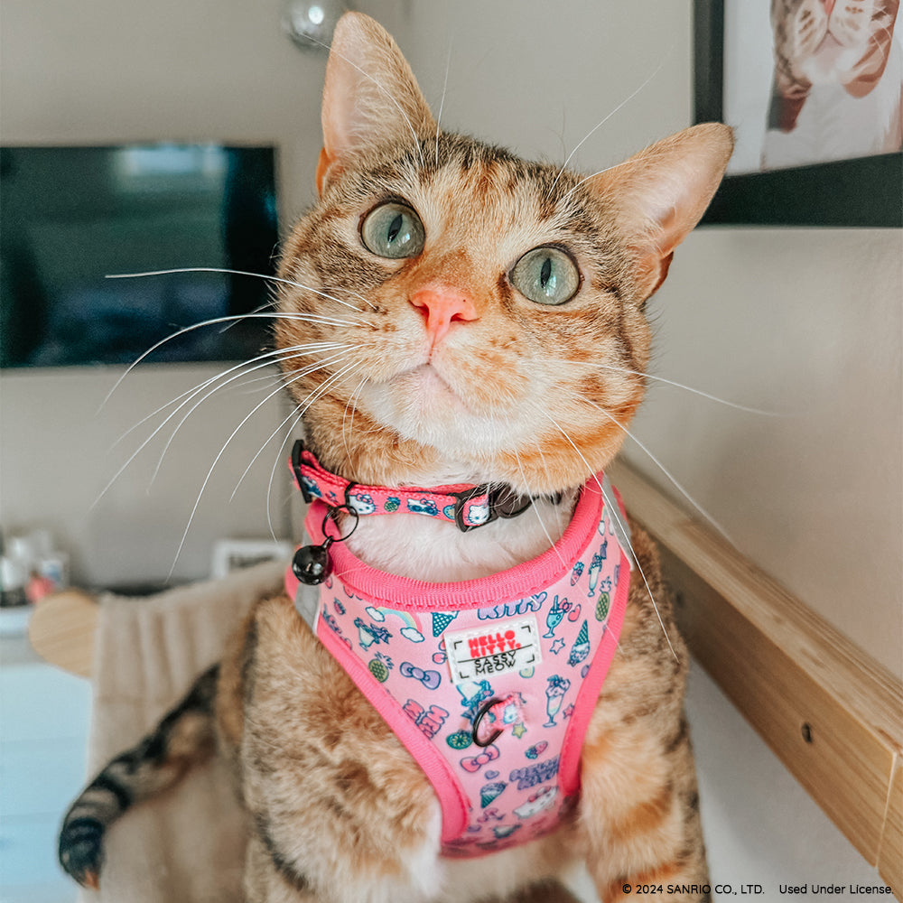 Pink Hello Kitty cat collar by Sassy Woof with bow detail, designed for pets and featuring adjustable fit.