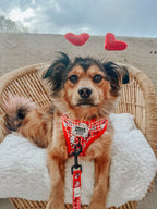 Red Hello Kitty® adjustable dog harness by Sassy Woof, featuring a cute cartoon design and secure fit for pets.