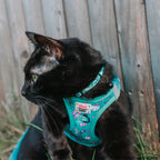 Pink and aqua Hello Kitty pet collar from Sassy Woof featuring a cute Hello Kitty design for cats.