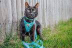 Pink Hello Kitty pet leash by Sassy Woof, aqua-colored nylon leash with Hello Kitty design for cats.
