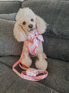 Sassy Woof My Melody pet dog leash in XS size with colorful design, shown in a close-up image.