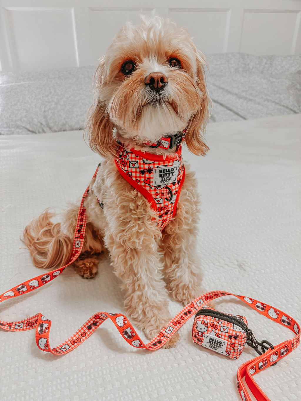 Red Hello Kitty dog waste bag holder by Sassy Woof, featuring a cute classic design, attached to a Cavapoo's collar.