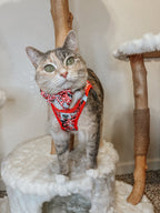 Red Hello Kitty® cat collar with a small bow and bell, designed for pets, by Sassy Woof.