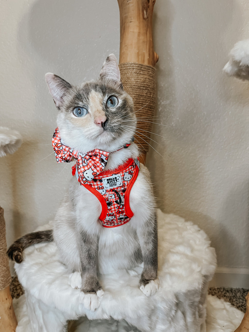 Red Hello Kitty cat bowtie on a black adjustable collar, styled for a cute feline or small dog, by Sassy Woof.