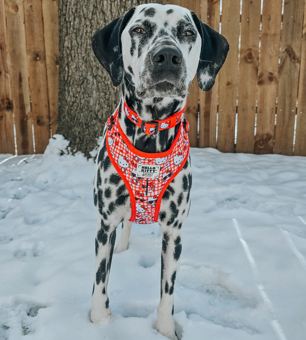 Red Hello Kitty® adjustable dog harness from Sassy Woof, featuring a cute Hello Kitty design and secure fit for pets.