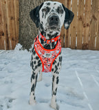 Red Hello Kitty® dog collar by Sassy Woof with classic design, featuring playful Hello Kitty® character and adjustable strap for pets.
