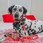 Red Hello Kitty dog collar by Sassy Woof, classic pet collar with adorable Hello Kitty design for small dogs.