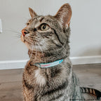Sassy Woof Hello Kitty aqua cat collar with pink bow and adjustable strap for pets, featuring Hello Kitty design.