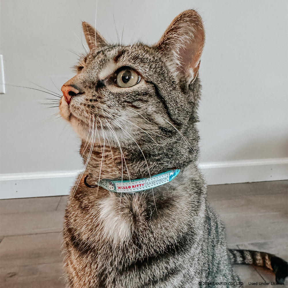 Sassy Woof Hello Kitty aqua cat collar with pink bow and adjustable strap for pets, featuring Hello Kitty design.