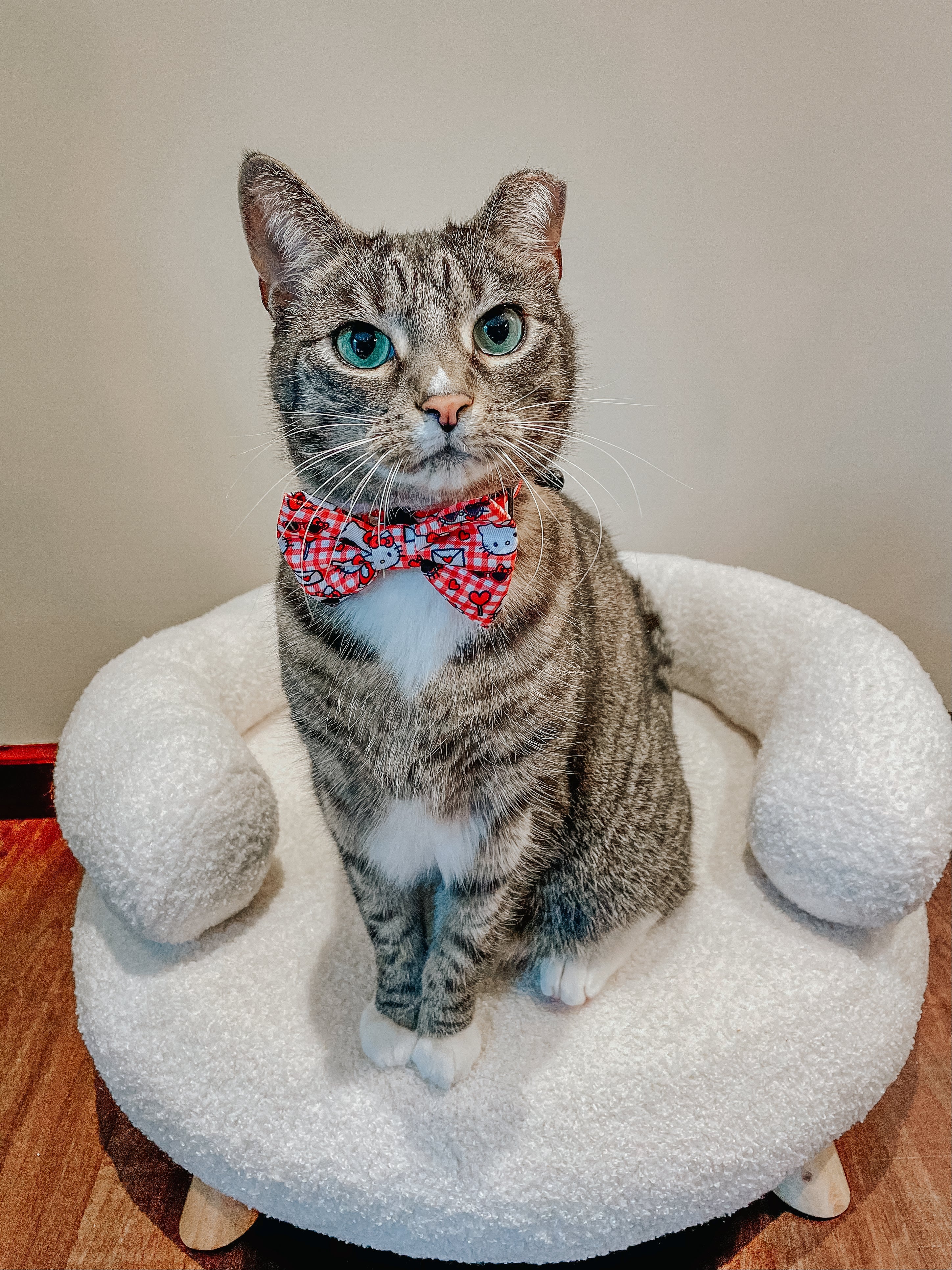 Red Hello Kitty® cat collar with bow detail from Sassy Woof, featuring a classic design for small pets.