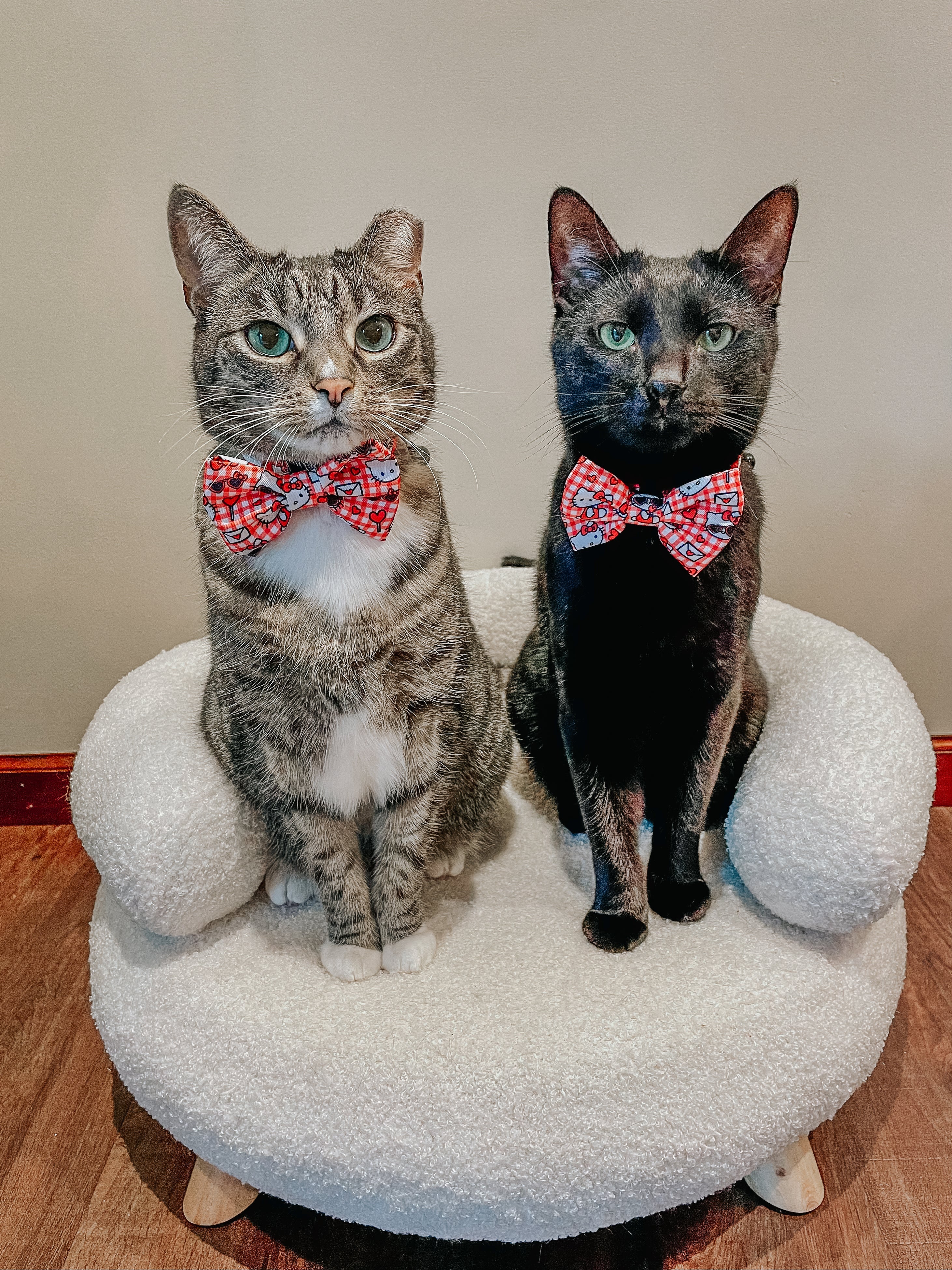 Red Hello Kitty® cat bowtie from Sassy Woof, stylish accessory featuring classic design for cats and small dogs.