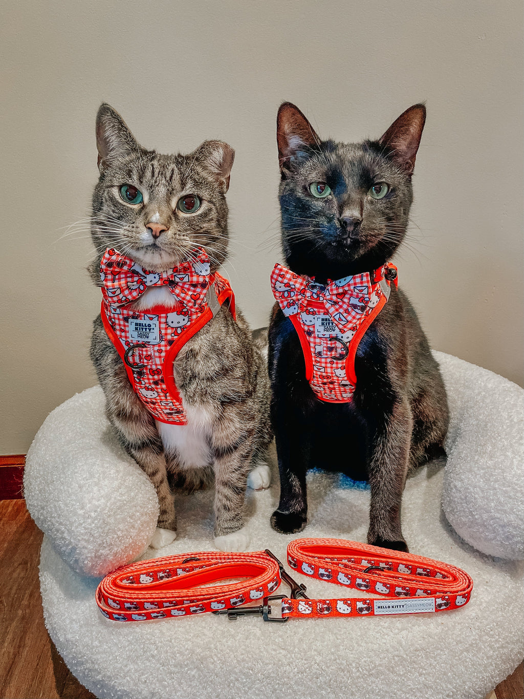 Red Hello Kitty cat leash by Sassy Woof with classic design, featuring a cute Hello Kitty pattern on a durable pet leash.