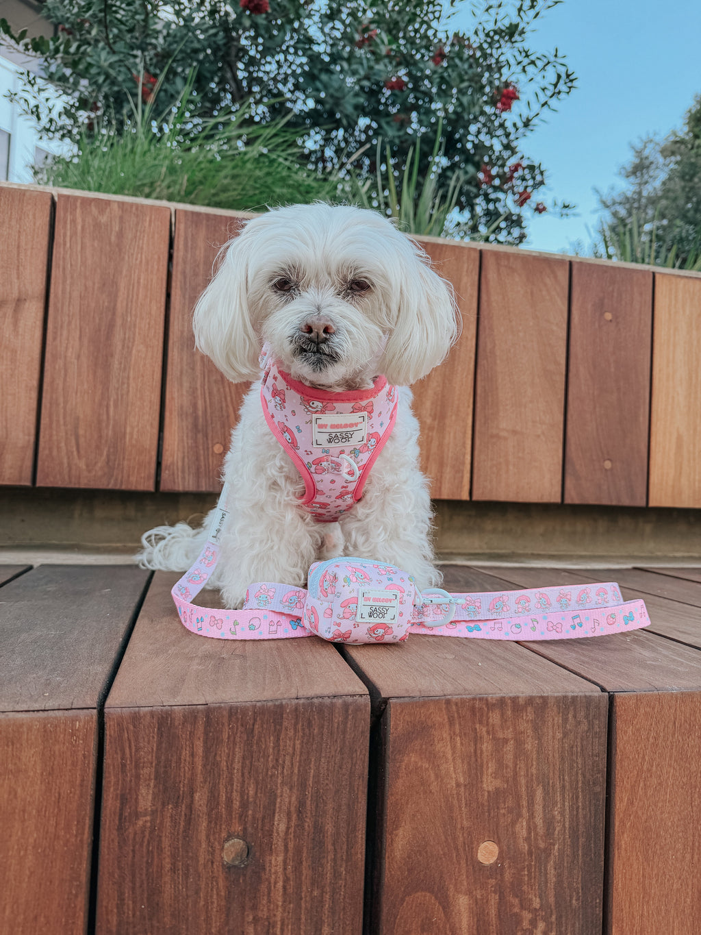 Sassy Woof My Melody™ dog leash featuring a colorful, playful design with a small pet dog on a lead, perfect for small dogs.