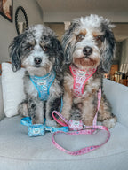 Sassy Woof Cinnamoroll™ dog leash with pastel design, featuring adorable Cinnamoroll character and soft fabric for pets.