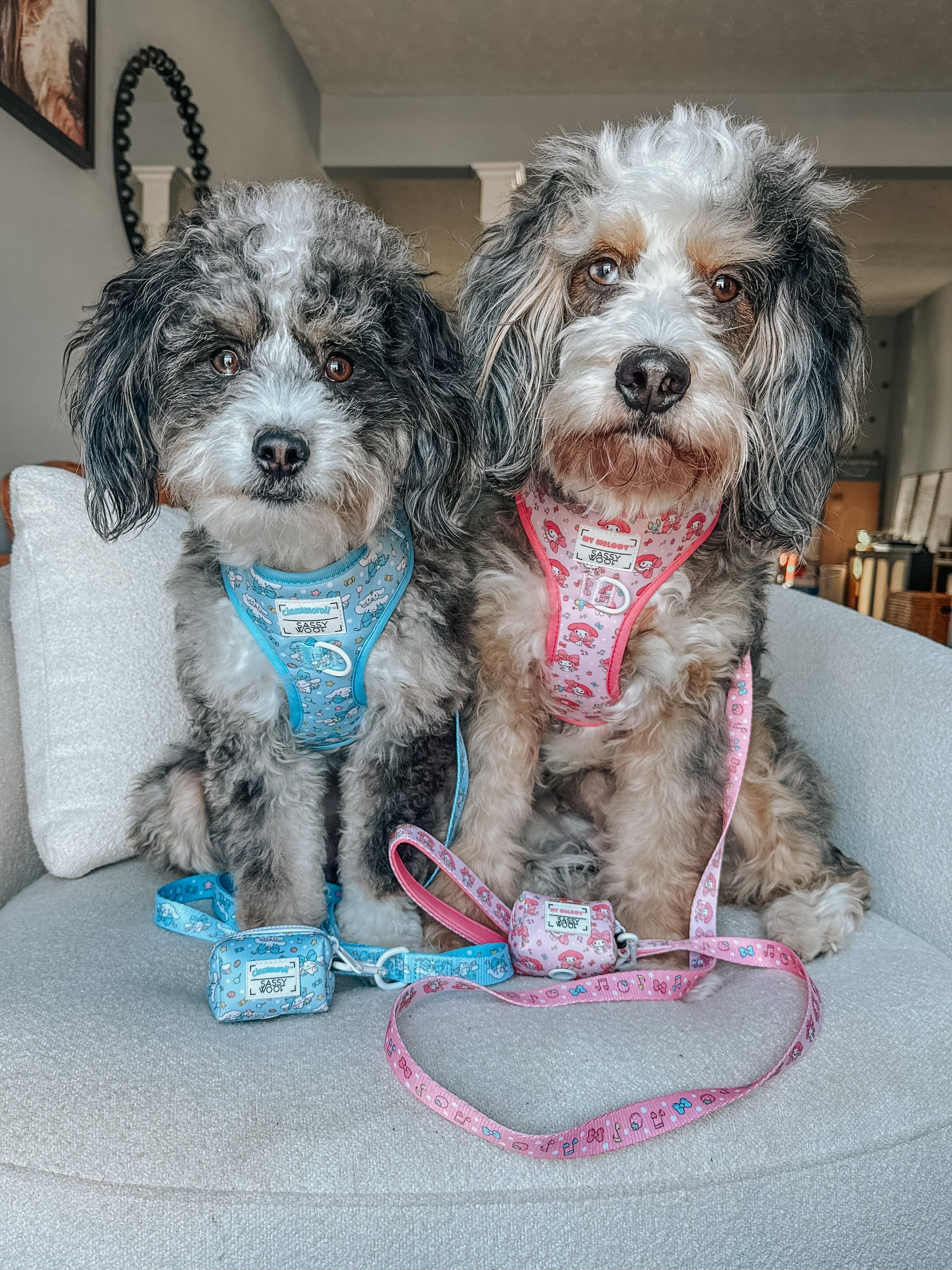 Sassy Woof Cinnamoroll™ dog leash with pastel design, featuring adorable Cinnamoroll character and soft fabric for pets.