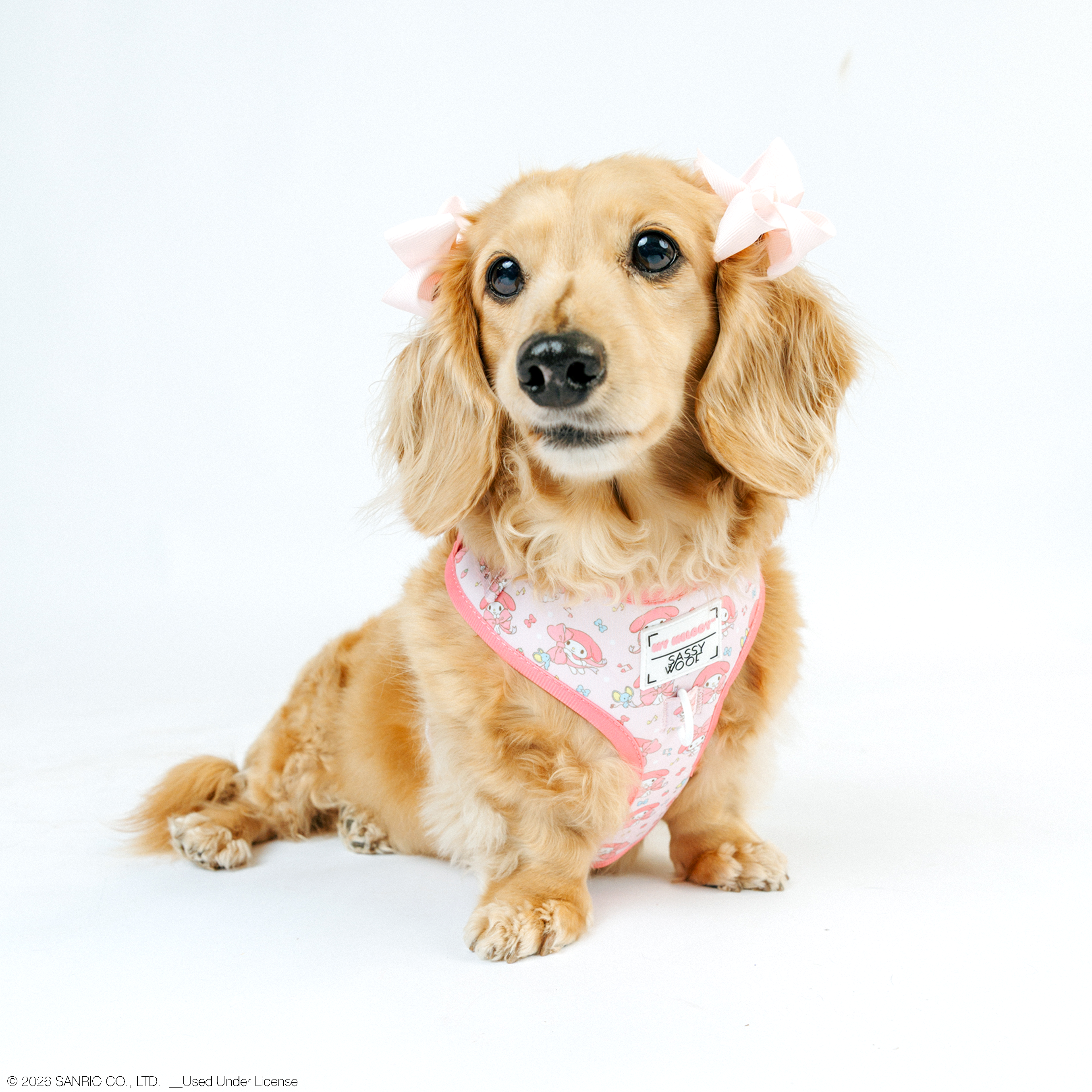 Four-piece dog collar and harness bundle from Sassy Woof's My Melody™ line, featuring colorful pet accessories on a Mayathedox model.