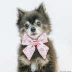 Dog sailor bow featuring My Melody design from Sassy Woof, styled for a cute dog apparel accessory.