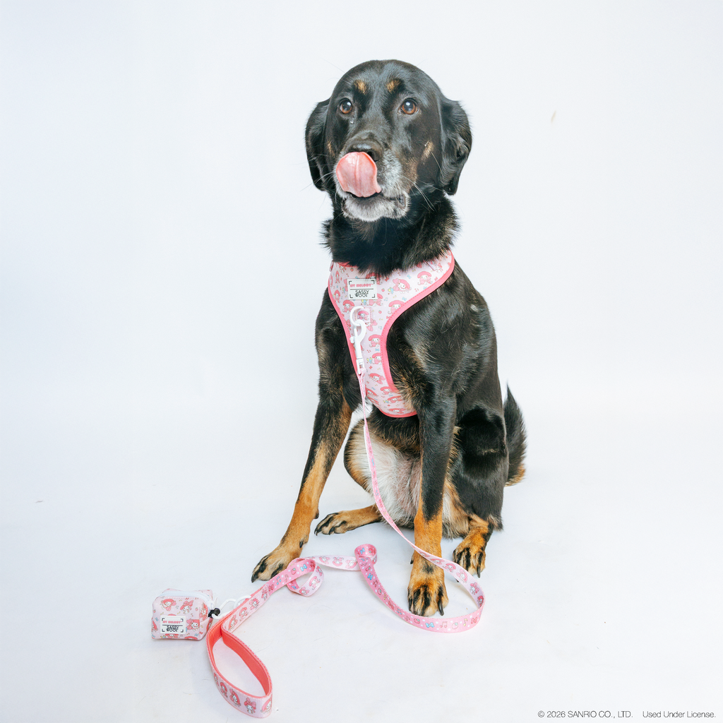Sassy Woof My Melody dog waste bag holder featuring Sunny the Aussiedor, a colorful pet waste dispenser for easy cleanup.