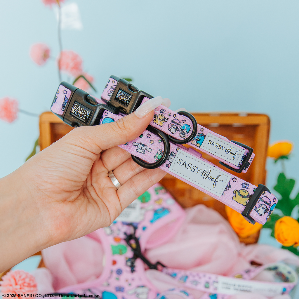 Pink dog collar featuring Hello Kitty® and friends with a colorful flower festival design, by Sassy Woof.