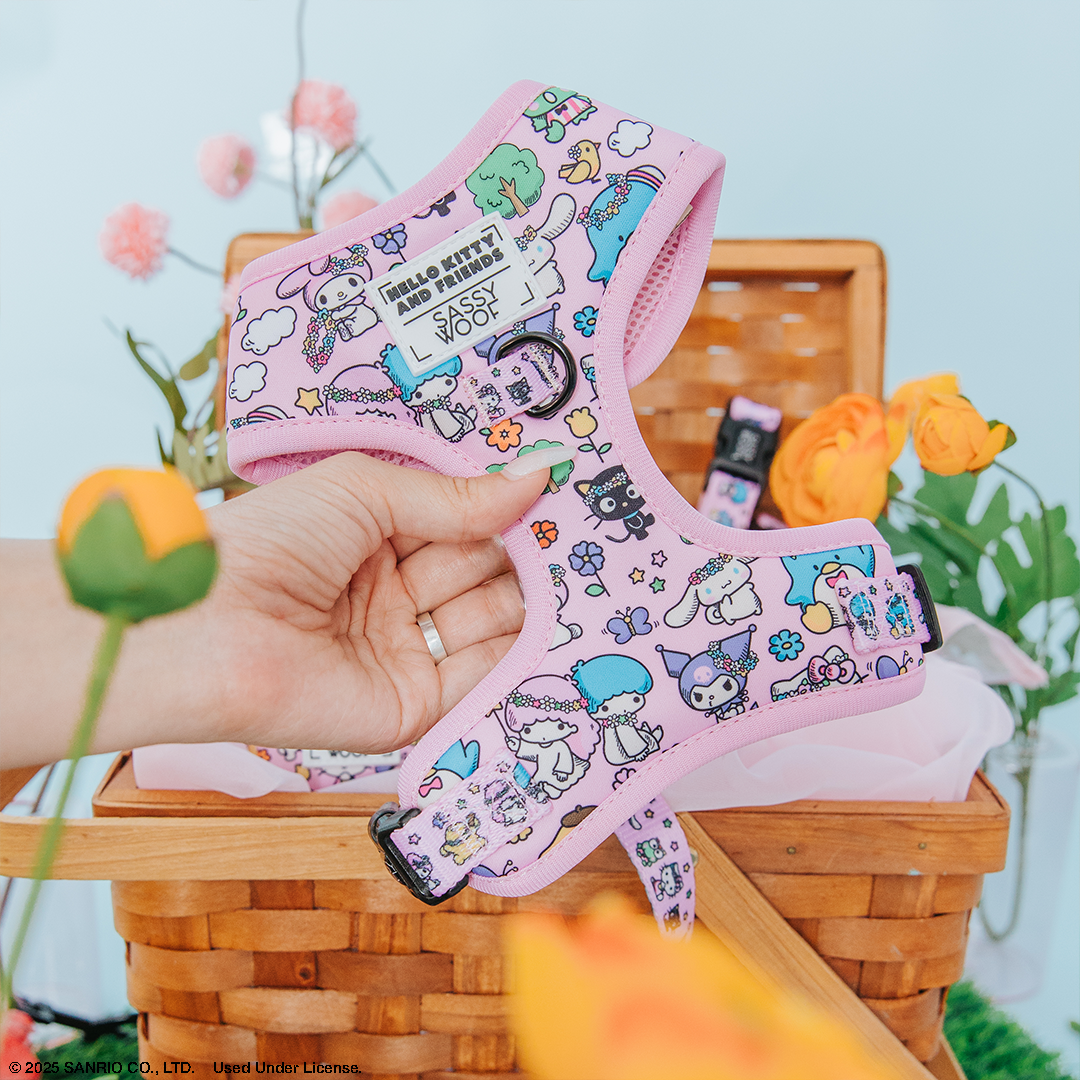 Dog collar and harness set featuring Hello Kitty® and Friends Flower Festival design by Sassy Woof, with colorful floral patterns.
