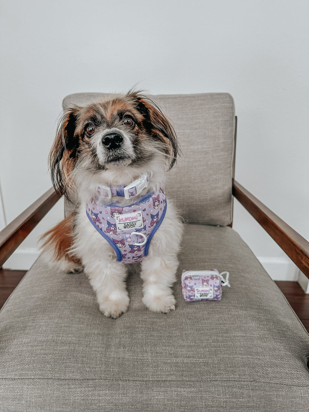Dog adjustable harness by Sassy Woof featuring a cute Kuromi™ design on soft, durable pet harness for comfortable walking.