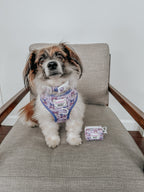 Dog adjustable harness by Sassy Woof featuring a cute Kuromi™ design on soft, durable pet harness for comfortable walking.