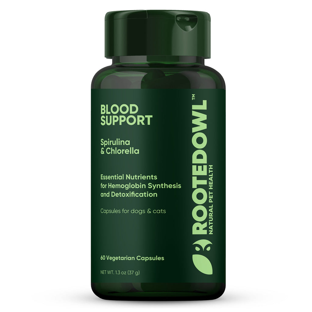 Green spirulina and chlorella supplement for cats and dogs in a container from Rooted Owl Pet Supplements.