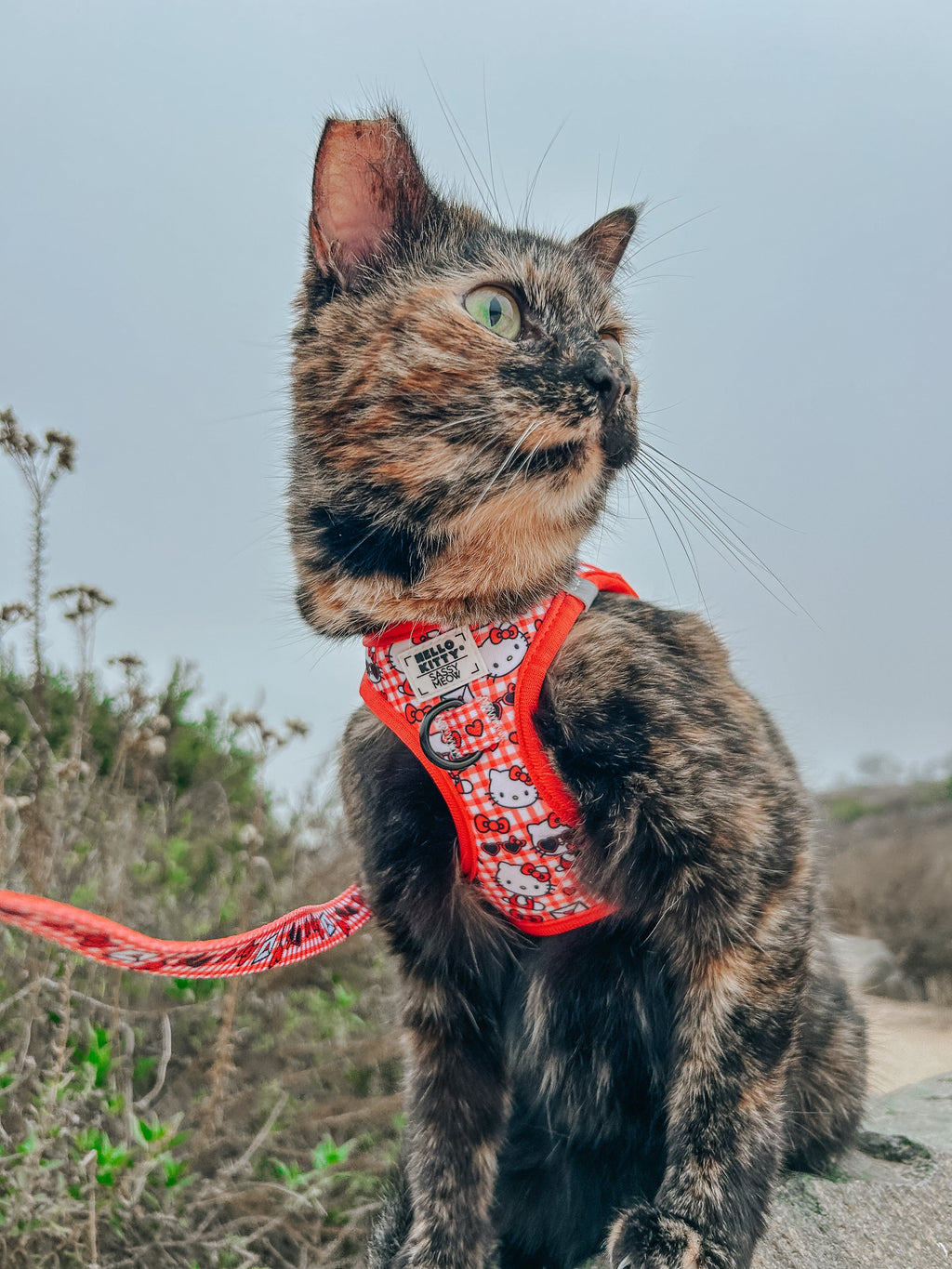 Red Hello Kitty® pet leash from Sassy Woof featuring classic design with playful Hello Kitty® branding, suitable for cats.