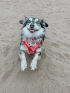 Red Hello Kitty® adjustable dog harness by Sassy Woof, featuring a cute Hello Kitty design on a comfortable pet collar harness.