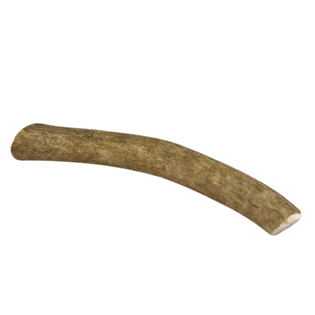 Medium Whole Elk Antler Dog Chew