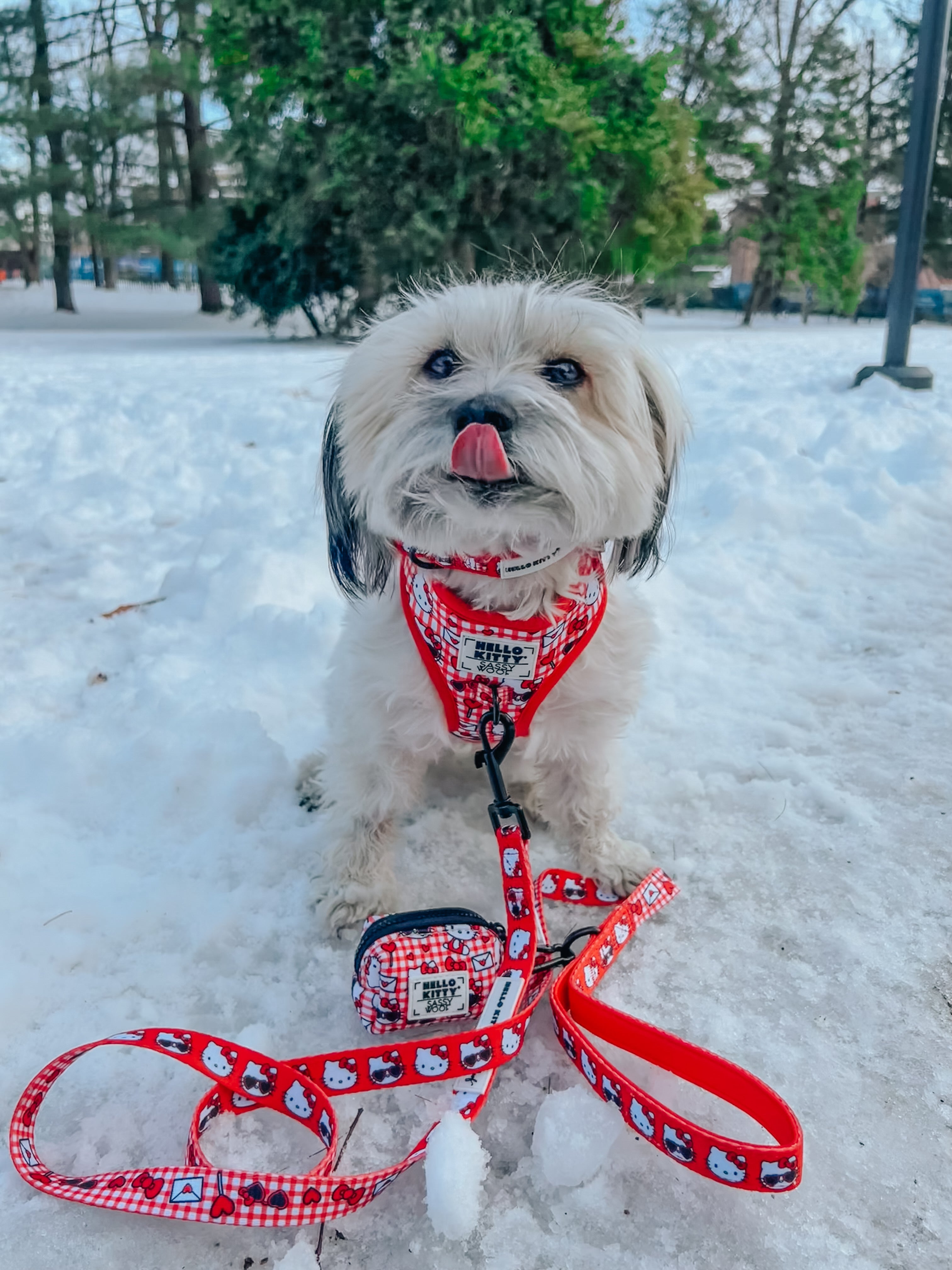 Red Hello Kitty® dog waste bag holder by Sassy Woof, featuring a cute cartoon cat design and compact dispenser for pet waste bags.