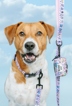 Colorful dog collar featuring Hello Kitty® and Friends flower festival design by Sassy Woof, made for pets.