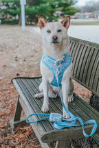 Dog leash featuring Cinnamoroll™ design by Sassy Woof, with a soft, durable pet leash for walking your dog comfortably.