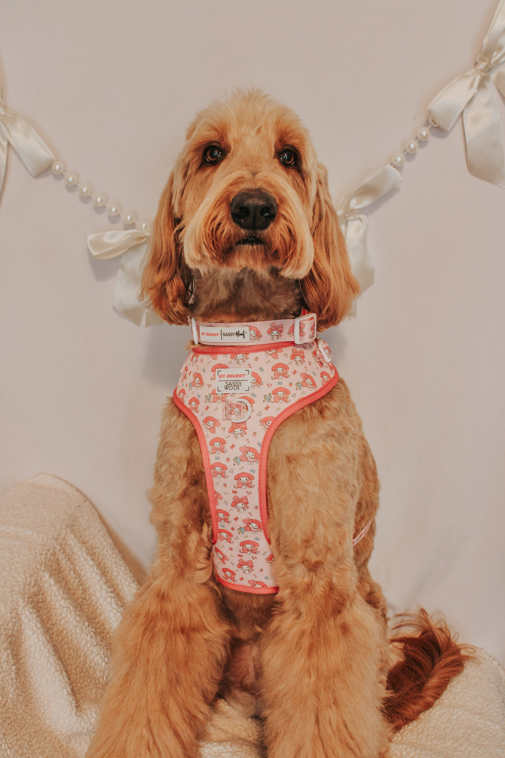 Sassy Woof My Melody™ three-piece collar bundle with colorful, playful designs for dogs, displayed in a vibrant image.