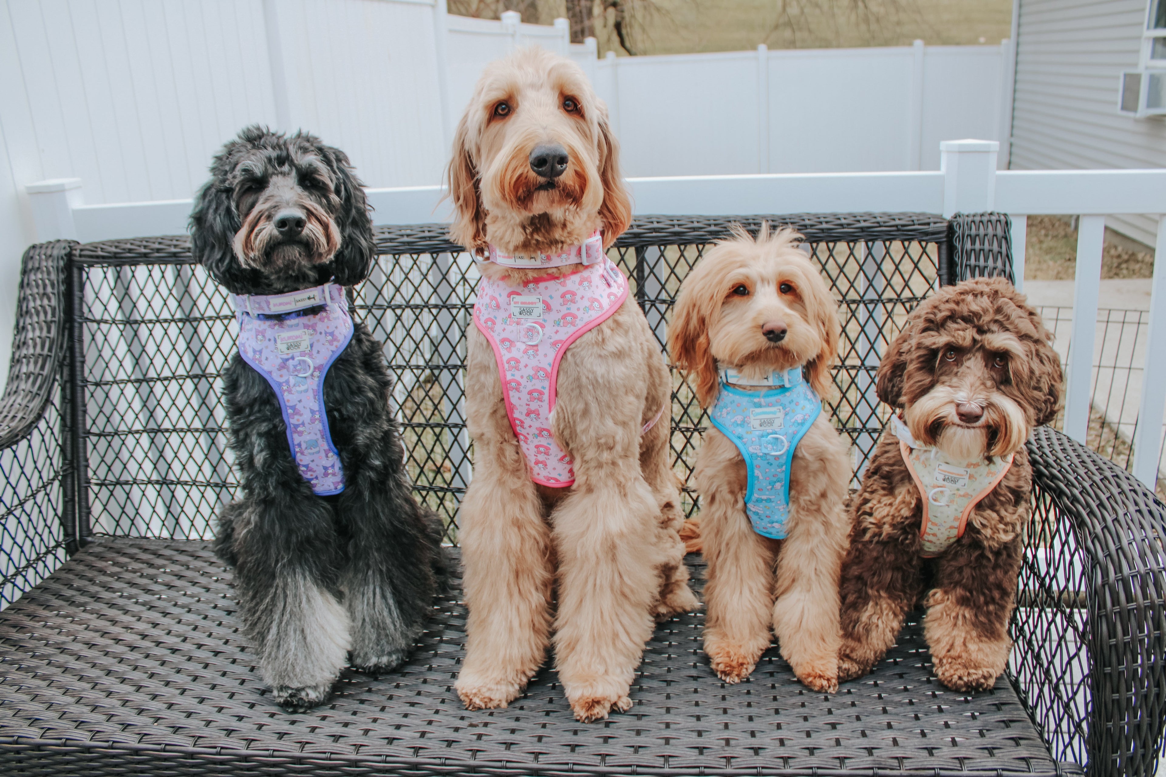 Sassy Woof Kuromi™ dog adjustable harness in black, featuring colorful cartoon character design, for medium to extra-large pets.