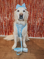 Adjustable Cinnamoroll™ dog harness by Sassy Woof, featuring a cute design and secure fit for pets.