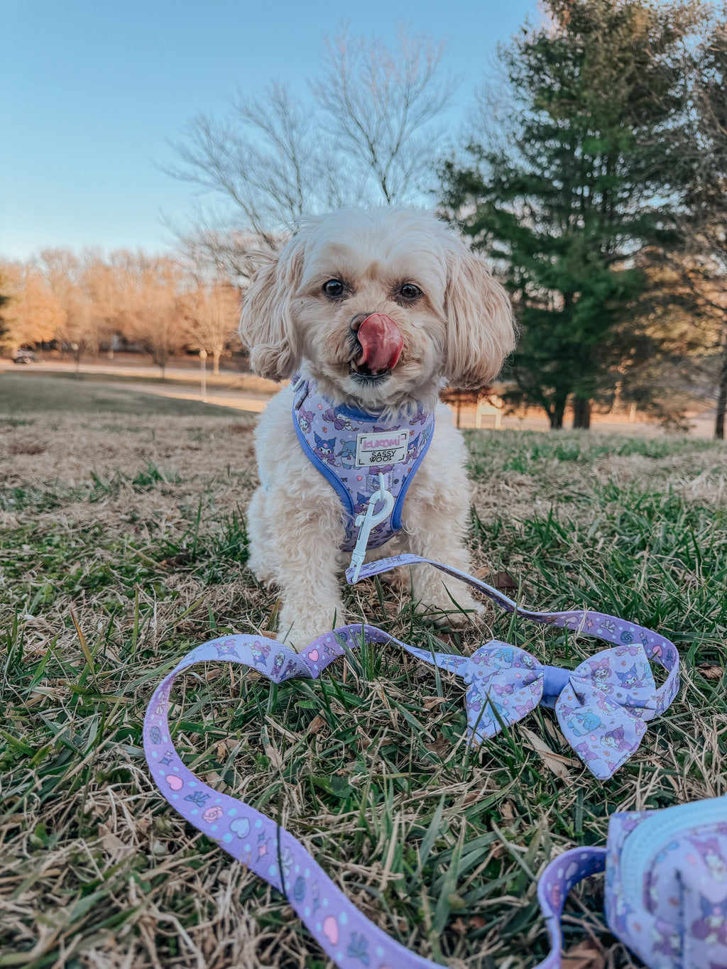 Sassy Woof Kuromi™ pet dog leash in havanese color, lightweight and durable nylon leash for small dogs.