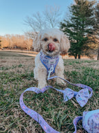 Sassy Woof Kuromi™ pet dog leash in havanese color, lightweight and durable nylon leash for small dogs.