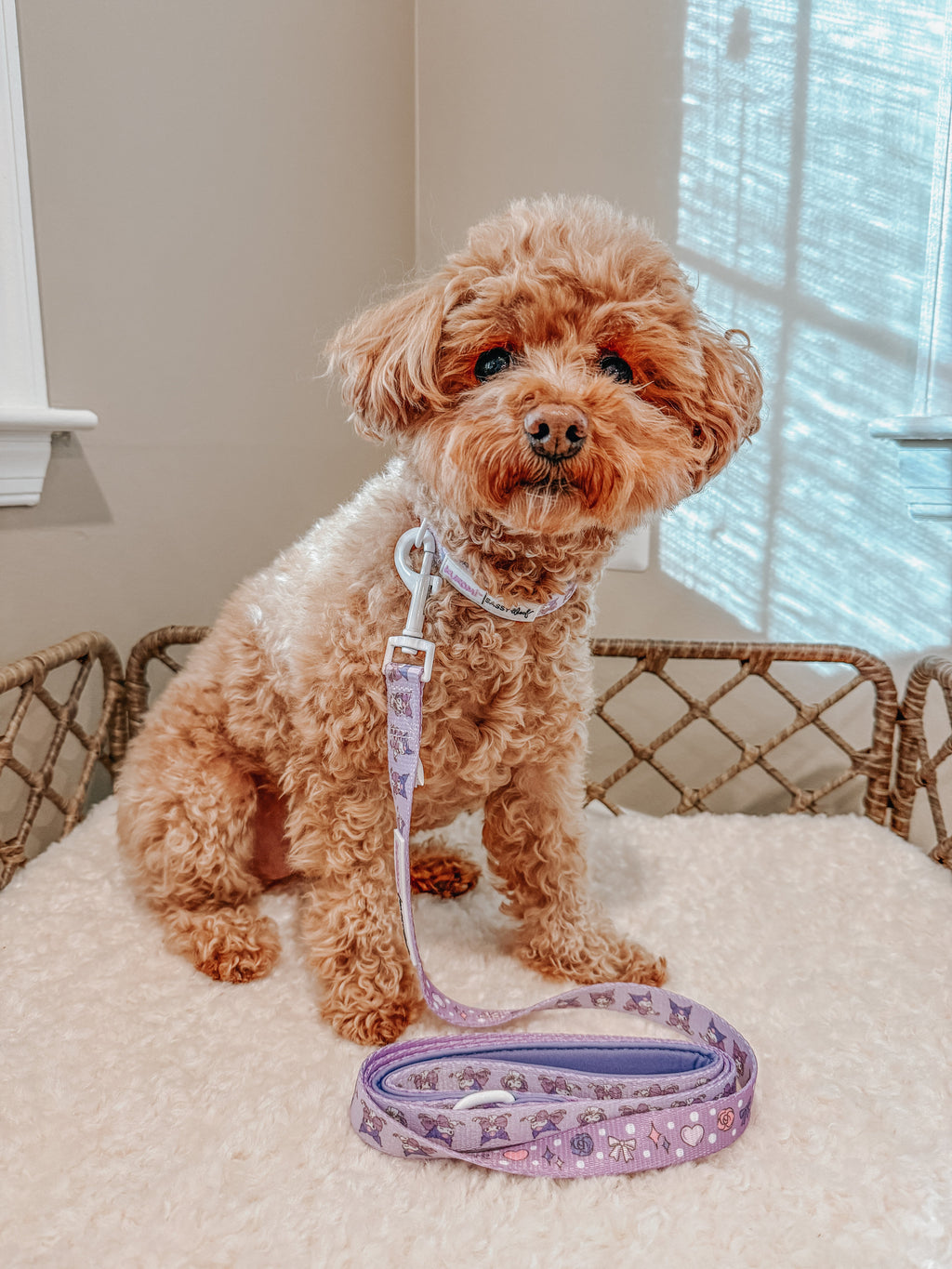 Pink puppy dog leash from Sassy Woof’s Kuromi™ pet leashes collection, featuring a cute design and durable material.